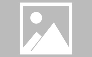 武义县编制网站建设（编制网站建设包括哪些）